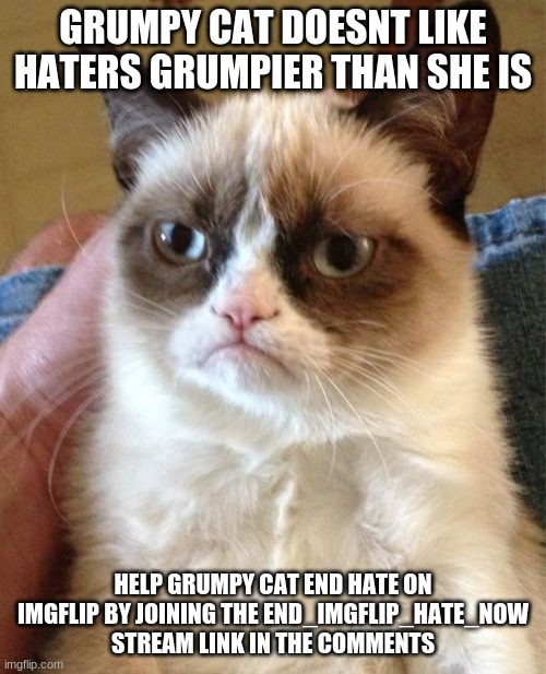 Grumpy Cat |  GRUMPY CAT DOESNT LIKE HATERS GRUMPIER THAN SHE IS; HELP GRUMPY CAT END HATE ON IMGFLIP BY JOINING THE END_IMGFLIP_HATE_NOW
STREAM LINK IN THE COMMENTS | image tagged in memes,grumpy cat | made w/ Imgflip meme maker