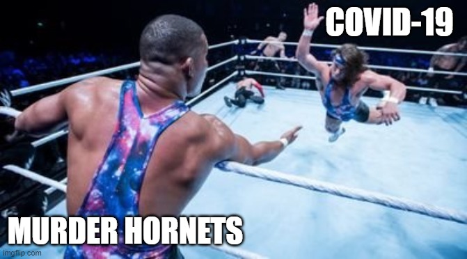 2020 right now... |  COVID-19; MURDER HORNETS | image tagged in wrestling tag team,memes,2020,funny,covid-19,murder hornets | made w/ Imgflip meme maker