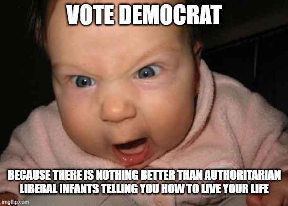 Authoritarian Infants | VOTE DEMOCRAT; BECAUSE THERE IS NOTHING BETTER THAN AUTHORITARIAN LIBERAL INFANTS TELLING YOU HOW TO LIVE YOUR LIFE | image tagged in memes,evil baby | made w/ Imgflip meme maker