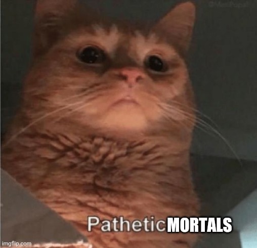 Pathetic Cat | MORTALS | image tagged in pathetic cat | made w/ Imgflip meme maker
