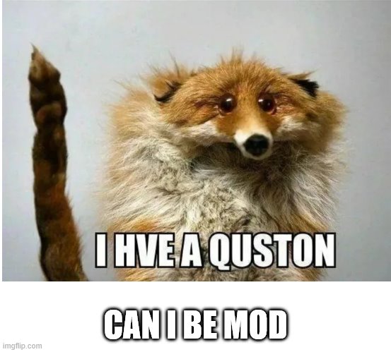 I hve a quston | CAN I BE MOD | image tagged in i hve a quston | made w/ Imgflip meme maker
