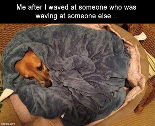 image tagged in memes,funny,oops,dogs,doggo,dog | made w/ Imgflip meme maker