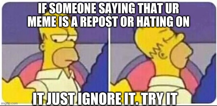 homer | IF SOMEONE SAYING THAT UR MEME IS A REPOST OR HATING ON; IT JUST IGNORE IT. TRY IT | image tagged in homer | made w/ Imgflip meme maker