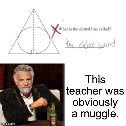 #MuggleTeacher | This teacher was obviously a muggle. | image tagged in harry potter | made w/ Imgflip meme maker