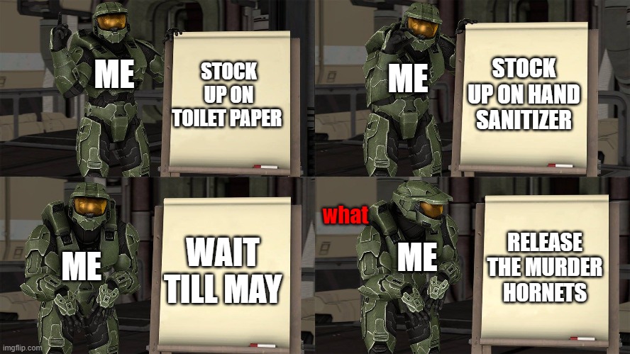 Master Chief's Plan-(Despicable Me Halo) | STOCK UP ON HAND SANITIZER; ME; STOCK UP ON TOILET PAPER; ME; what; WAIT TILL MAY; RELEASE THE MURDER HORNETS; ME; ME | image tagged in master chief's plan-despicable me halo | made w/ Imgflip meme maker