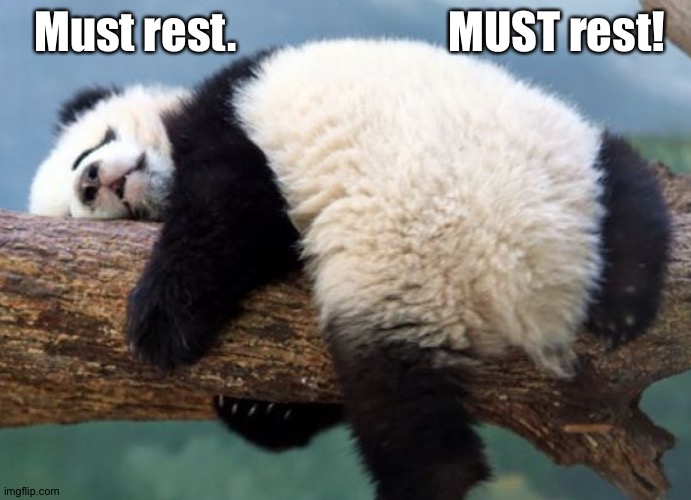 Must rest.                        MUST rest! | made w/ Imgflip meme maker