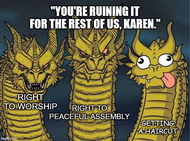 End the lockdowns. | "YOU'RE RUINING IT FOR THE REST OF US, KAREN."; RIGHT TO PEACEFUL ASSEMBLY; RIGHT TO WORSHIP; GETTING A HAIRCUT | image tagged in hydra | made w/ Imgflip meme maker