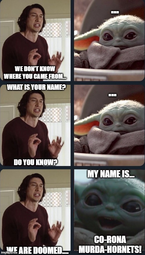 Baby CMH | ... WE DON'T KNOW WHERE YOU CAME FROM... ... WHAT IS YOUR NAME? DO YOU KNOW? MY NAME IS... CO-RONA MURDA-HORNETS! WE ARE DOOMED.... | image tagged in kylo ren teacher baby yoda to speak,baby yoda,coronavirus,murder hornets | made w/ Imgflip meme maker