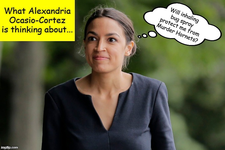 What Alexandria Ocasio-Cortez is thinking about | Will inhaling bug spray protect me from Murder Hornets? | image tagged in what alexandria ocasio-cortez is thinking about,memes,murder hornets,murder hornet,aoc,crazy aoc | made w/ Imgflip meme maker