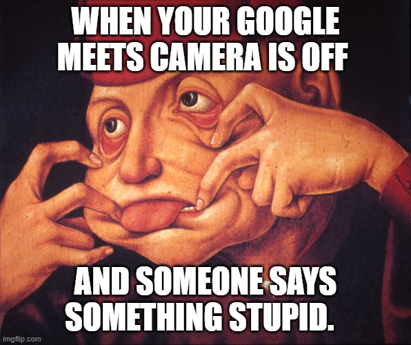 Google meets | WHEN YOUR GOOGLE MEETS CAMERA IS OFF; AND SOMEONE SAYS SOMETHING STUPID. | image tagged in art history,google meets,camera off,distance learning | made w/ Imgflip meme maker
