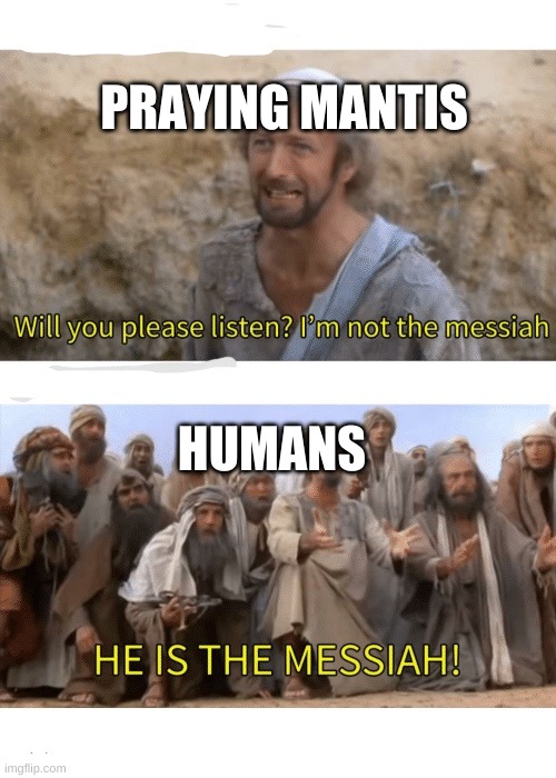 He is the messiah | PRAYING MANTIS HUMANS | image tagged in he is the messiah | made w/ Imgflip meme maker