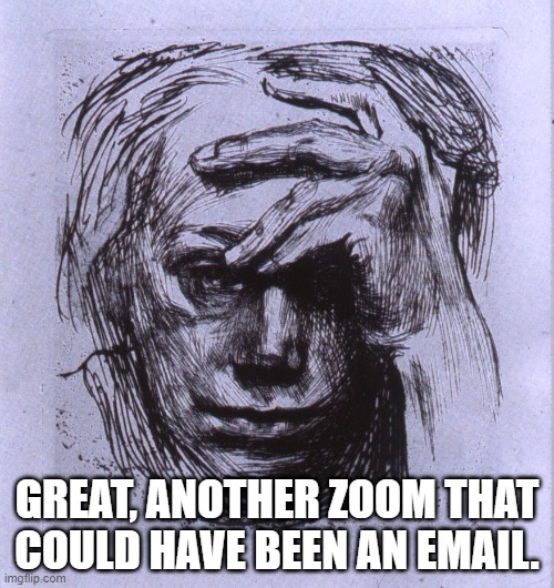 Another zoom | GREAT, ANOTHER ZOOM THAT COULD HAVE BEEN AN EMAIL. | image tagged in zoom,meeting,email,work from home | made w/ Imgflip meme maker