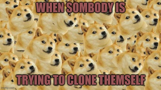 clone | WHEN SOMBODY IS; TRYING TO CLONE THEMSELF | image tagged in memes,multi doge | made w/ Imgflip meme maker