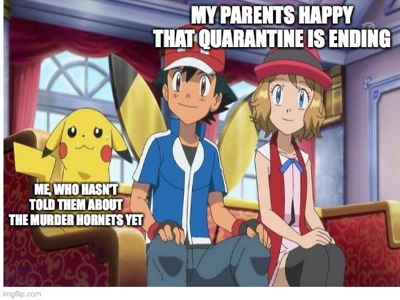 Second meme here tons o' fun! long time no see | MY PARENTS HAPPY THAT QUARANTINE IS ENDING; ME, WHO HASN'T TOLD THEM ABOUT THE MURDER HORNETS YET | made w/ Imgflip meme maker