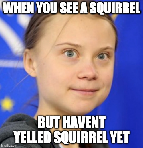 great squirrel | WHEN YOU SEE A SQUIRREL; BUT HAVENT YELLED SQUIRREL YET | image tagged in greta,squirrel | made w/ Imgflip meme maker