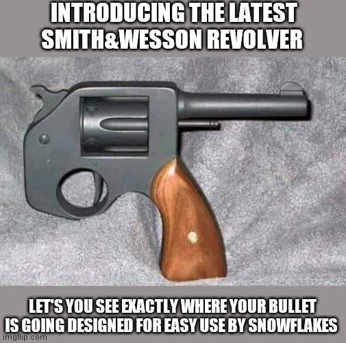 INTRODUCING THE LATEST SMITH&WESSON REVOLVER; LET'S YOU SEE EXACTLY WHERE YOUR BULLET IS GOING DESIGNED FOR EASY USE BY SNOWFLAKES | image tagged in snowflakes,guns | made w/ Imgflip meme maker