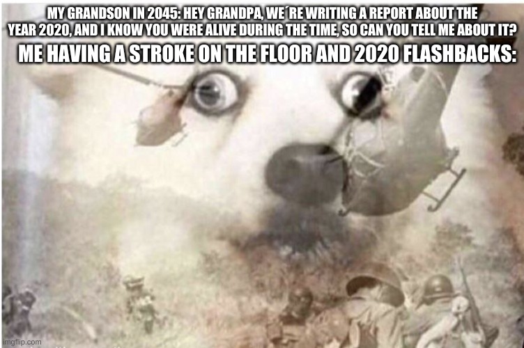 Vietnam dog | ME HAVING A STROKE ON THE FLOOR AND 2020 FLASHBACKS:; MY GRANDSON IN 2045: HEY GRANDPA, WE´RE WRITING A REPORT ABOUT THE YEAR 2020, AND I KNOW YOU WERE ALIVE DURING THE TIME, SO CAN YOU TELL ME ABOUT IT? | image tagged in vietnam dog | made w/ Imgflip meme maker
