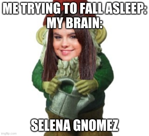 selena gnomez | ME TRYING TO FALL ASLEEP:
MY BRAIN:; SELENA GNOMEZ | image tagged in brain | made w/ Imgflip meme maker