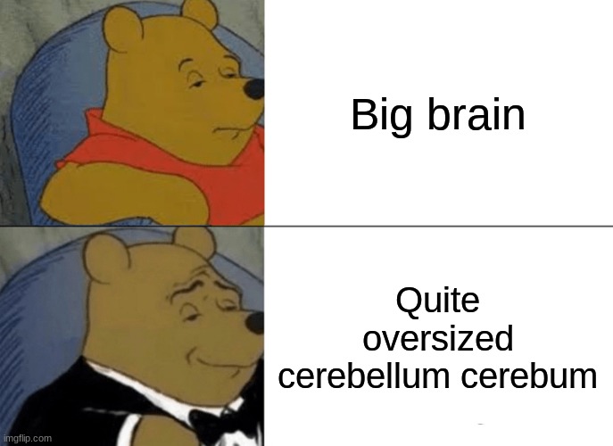 Tuxedo Winnie The Pooh | Big brain; Quite oversized cerebellum cerebum | image tagged in memes,tuxedo winnie the pooh | made w/ Imgflip meme maker