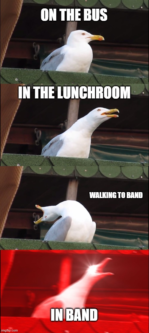 Inhaling Seagull | ON THE BUS; IN THE LUNCHROOM; WALKING TO BAND; IN BAND | image tagged in memes,inhaling seagull | made w/ Imgflip meme maker