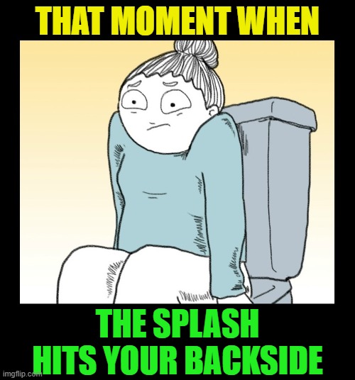 Plop, plop, fizz, fizz, oh what a relief it...  EWWWW!! | THAT MOMENT WHEN; THE SPLASH HITS YOUR BACKSIDE | image tagged in funny,bathroom,pooping,imgflip,gross,yuck | made w/ Imgflip meme maker