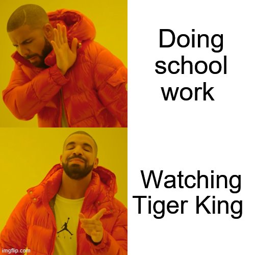 Drake Hotline Bling Meme | Doing school work; Watching Tiger King | image tagged in memes,drake hotline bling | made w/ Imgflip meme maker
