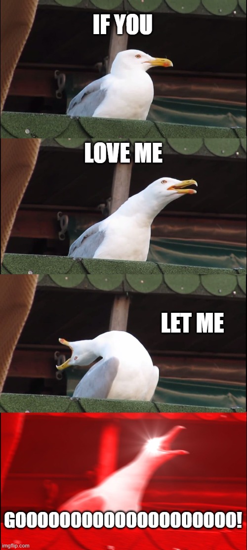 If you love me let me go | IF YOU; LOVE ME; LET ME; GOOOOOOOOOOOOOOOOOOOO! | image tagged in memes,inhaling seagull | made w/ Imgflip meme maker