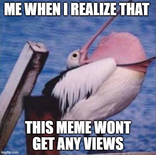 Superb Sadness | ME WHEN I REALIZE THAT; THIS MEME WONT GET ANY VIEWS | image tagged in pelican,mouth | made w/ Imgflip meme maker