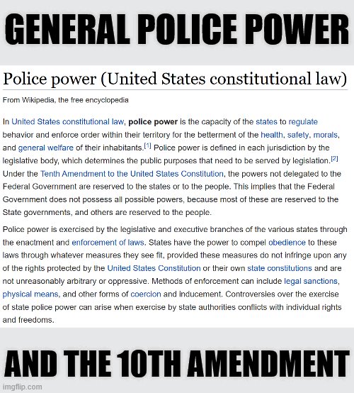 When they imply quarantines and stay-at-home orders are unconstitutional. | GENERAL POLICE POWER; AND THE 10TH AMENDMENT | image tagged in police power,quarantine,stay at home,constitution,conservative logic,covid-19 | made w/ Imgflip meme maker