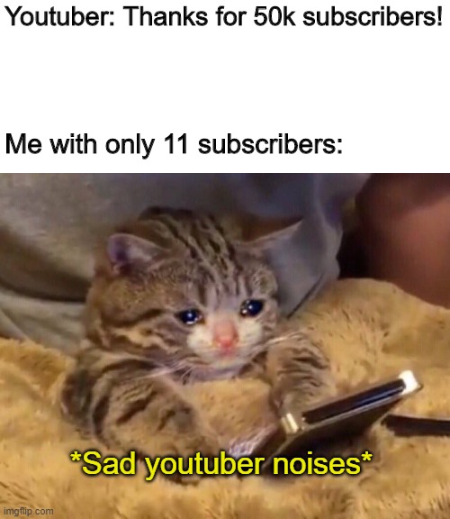 YouTube memes #1 |  Youtuber: Thanks for 50k subscribers! Me with only 11 subscribers:; *Sad youtuber noises* | image tagged in sad cat phone | made w/ Imgflip meme maker