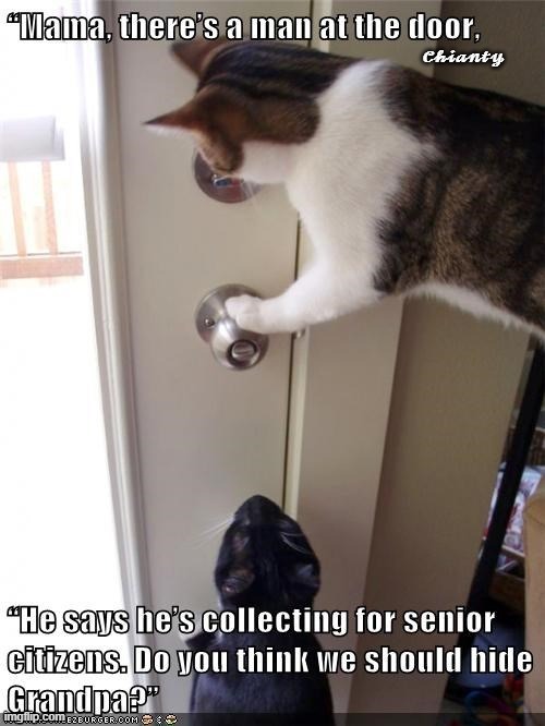 Collecting | image tagged in senior | made w/ Imgflip meme maker