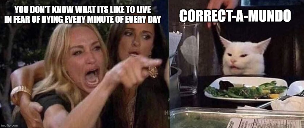 Not-Scaredy Cat | YOU DON'T KNOW WHAT ITS LIKE TO LIVE IN FEAR OF DYING EVERY MINUTE OF EVERY DAY; CORRECT-A-MUNDO | image tagged in woman yelling at cat,coronavirus,covid19,democrats,reopen | made w/ Imgflip meme maker