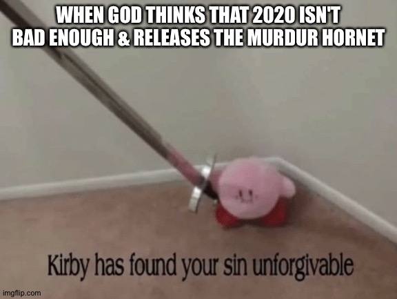 Kirby has found your sin unforgivable | WHEN GOD THINKS THAT 2020 ISN'T BAD ENOUGH & RELEASES THE MURDUR HORNET | image tagged in kirby has found your sin unforgivable | made w/ Imgflip meme maker