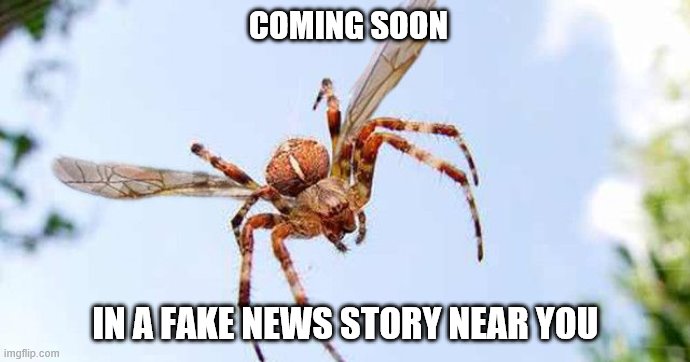 COMING SOON; IN A FAKE NEWS STORY NEAR YOU | image tagged in fake news,quarantine,murder hornet | made w/ Imgflip meme maker