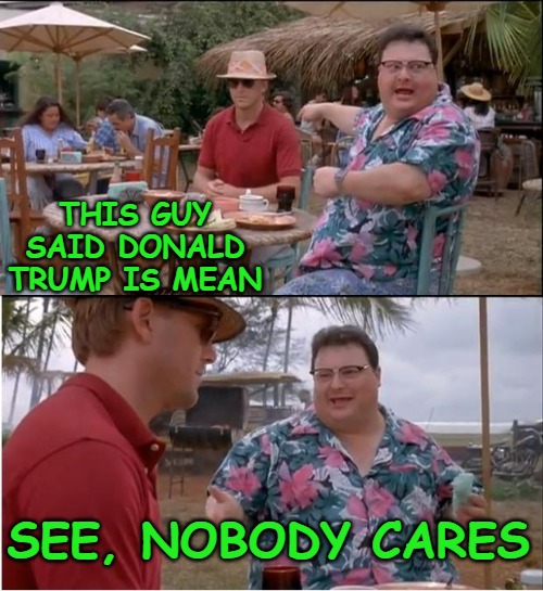 That's the appeal. We have a man in office who represents the people and he isn't sensitive to the enemy's feelings. | THIS GUY SAID DONALD TRUMP IS MEAN; SEE, NOBODY CARES | image tagged in memes,see nobody cares,politics | made w/ Imgflip meme maker