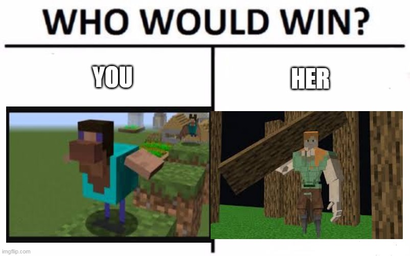 Who Would Win? Meme | YOU; HER | image tagged in memes,who would win | made w/ Imgflip meme maker