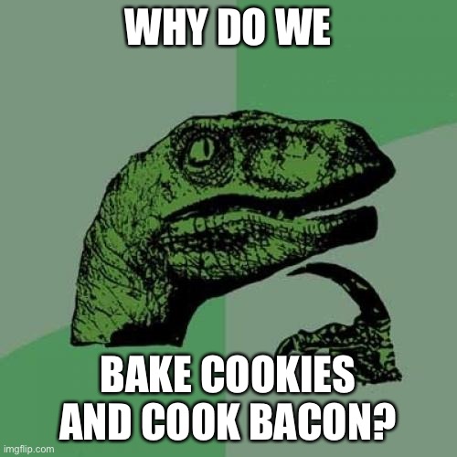 Philosoraptor | WHY DO WE; BAKE COOKIES AND COOK BACON? | image tagged in memes,philosoraptor | made w/ Imgflip meme maker