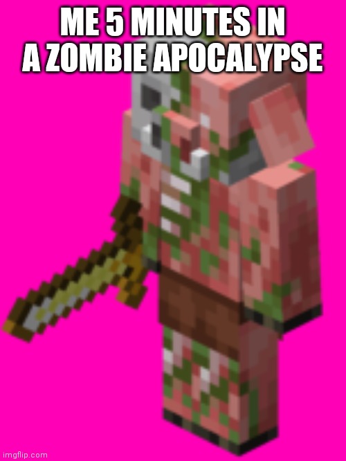 Zombie | ME 5 MINUTES IN A ZOMBIE APOCALYPSE | image tagged in piglin | made w/ Imgflip meme maker