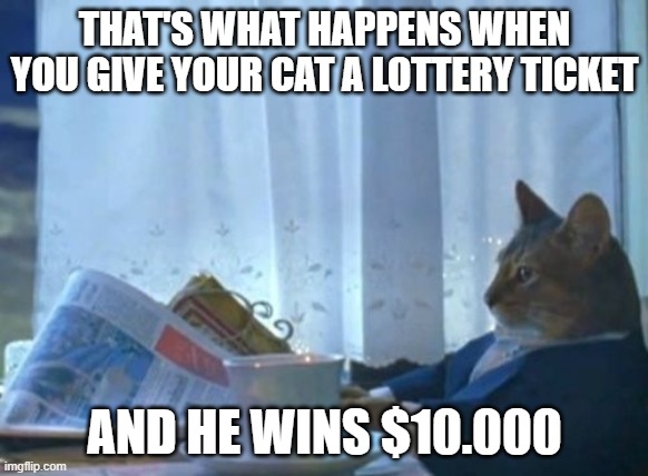 Lucky cat | THAT'S WHAT HAPPENS WHEN YOU GIVE YOUR CAT A LOTTERY TICKET; AND HE WINS $10.000 | image tagged in memes,i should buy a boat cat | made w/ Imgflip meme maker