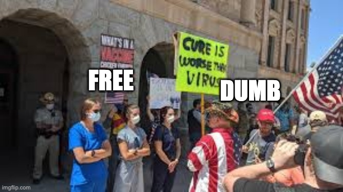Free Dumb God Help the Covidiots | DUMB; FREE | image tagged in free - nurse heroes | made w/ Imgflip meme maker