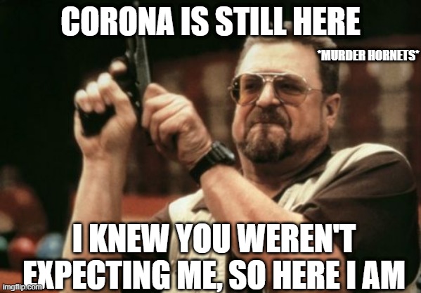 Am I The Only One Around Here | CORONA IS STILL HERE; *MURDER HORNETS*; I KNEW YOU WEREN'T EXPECTING ME, SO HERE I AM | image tagged in memes,am i the only one around here | made w/ Imgflip meme maker