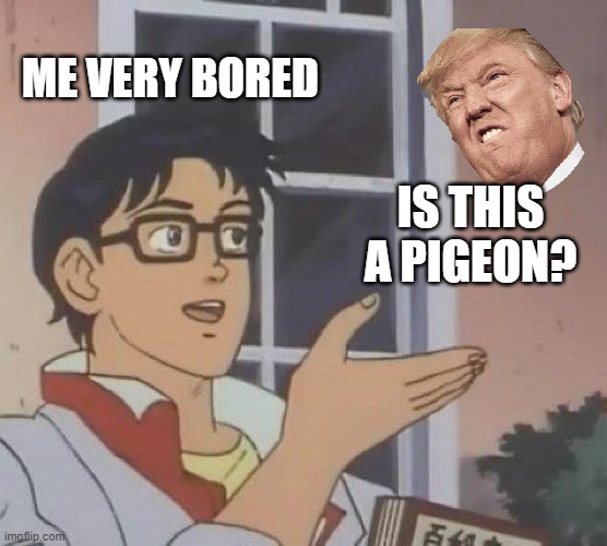 trump pigeon | ME VERY BORED; IS THIS A PIGEON? | image tagged in memes,is this a pigeon | made w/ Imgflip meme maker
