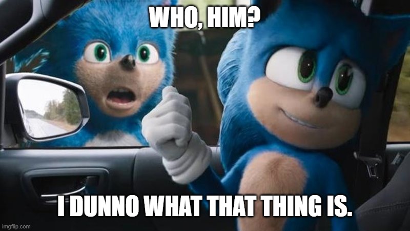 Sonic Movie Old vs New | WHO, HIM? I DUNNO WHAT THAT THING IS. | image tagged in sonic movie old vs new | made w/ Imgflip meme maker