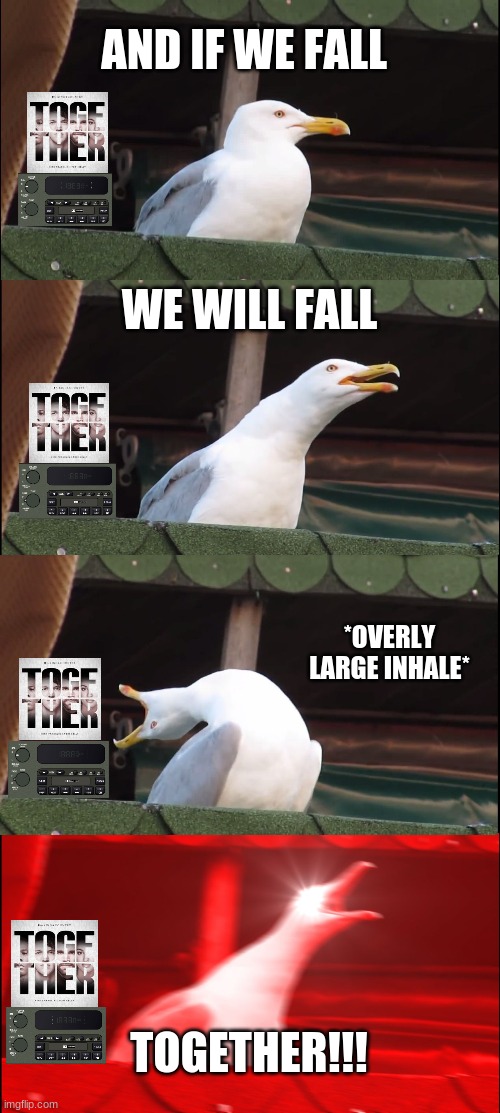 Gotta Love For King & Country's song "Together" (The seagull is me singing) | AND IF WE FALL; WE WILL FALL; *OVERLY LARGE INHALE*; TOGETHER!!! | image tagged in memes,inhaling seagull,fall,together,song,song lyrics | made w/ Imgflip meme maker