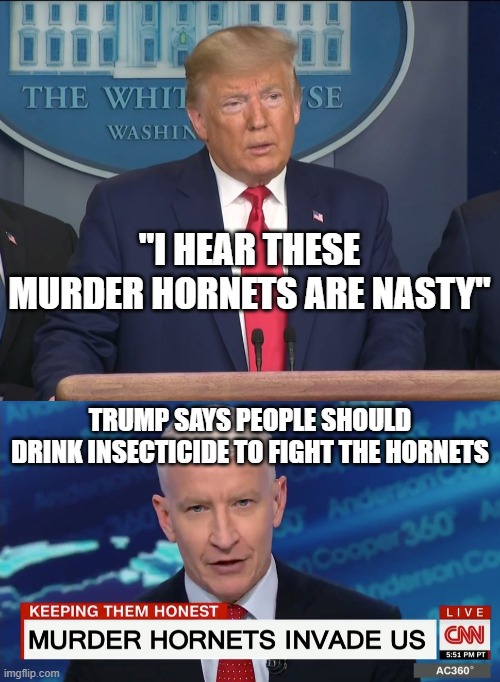 Trump addresses murder hornets | "I HEAR THESE MURDER HORNETS ARE NASTY"; TRUMP SAYS PEOPLE SHOULD DRINK INSECTICIDE TO FIGHT THE HORNETS | image tagged in cnn fake news,donald trump,political meme,murder hornets | made w/ Imgflip meme maker