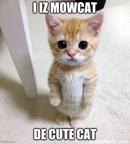 mowcat | I IZ MOWCAT; DE CUTE CAT | image tagged in memes,cute cat | made w/ Imgflip meme maker