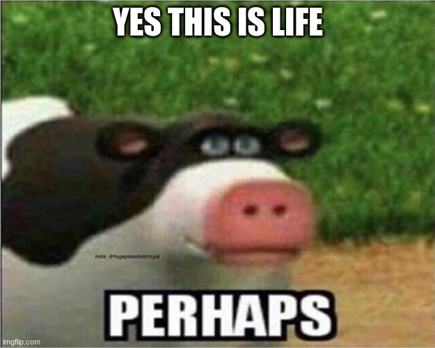 Perhaps Cow | YES THIS IS LIFE | image tagged in perhaps cow | made w/ Imgflip meme maker