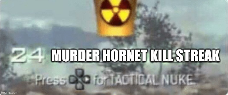 MURDER HORNET KILL STREAK | image tagged in killstreak meme | made w/ Imgflip meme maker