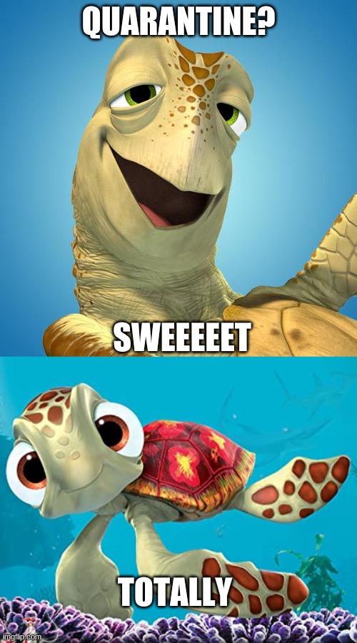 Marlin faints in the background | QUARANTINE? SWEEEEET; TOTALLY | image tagged in disney crush | made w/ Imgflip meme maker
