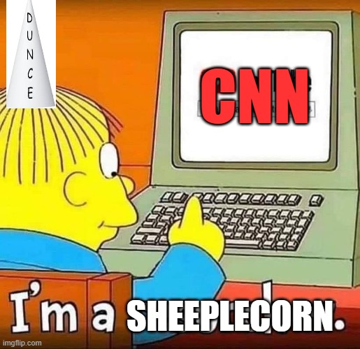 Sheeplecorn | CNN; SHEEPLECORN | image tagged in ralph,sheeplecorn,i bring you sheeplecorn,cnn | made w/ Imgflip meme maker